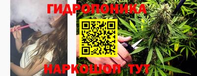 прущие грибы Ярцево