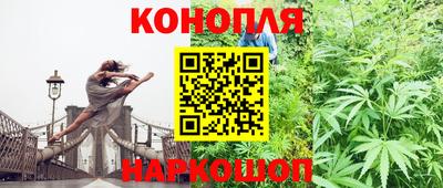 прущие грибы Ярцево