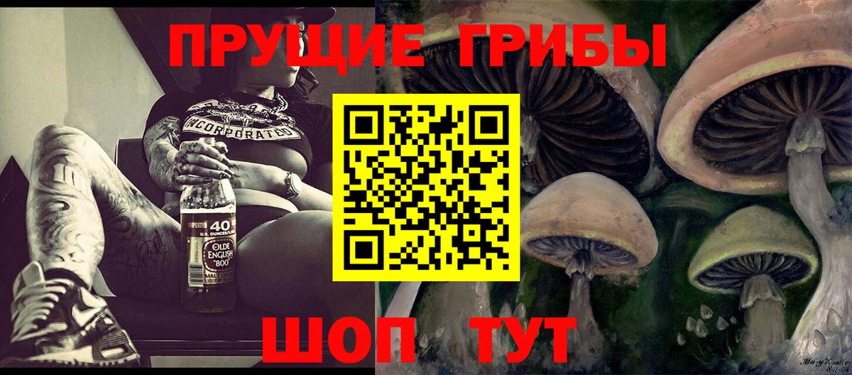 Псилоцибиновые грибы прущие грибы Зерноград