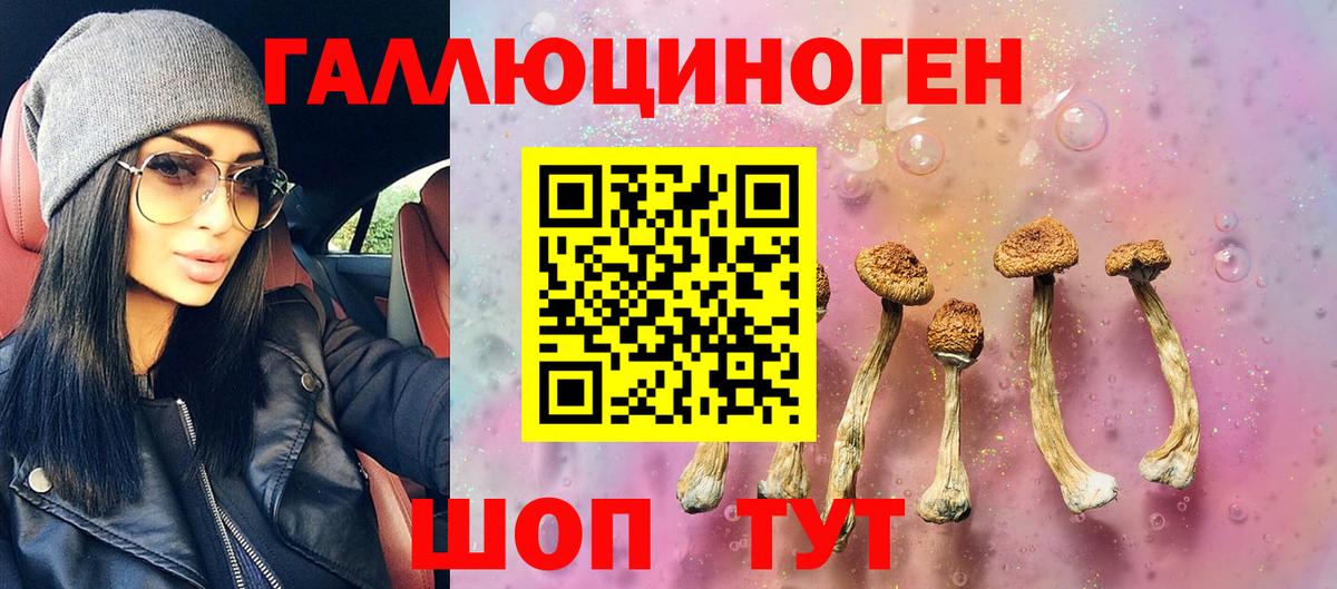 Зерноград  Галлюциногенные грибы Magic Shrooms  Вход с VPN  Галлюциногенные грибы ЛСД 
